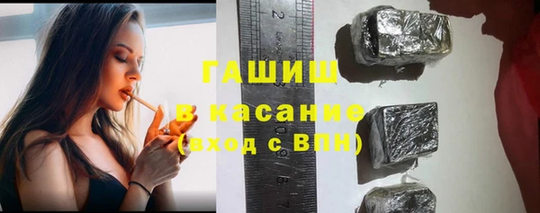 прущие грибы Пересвет