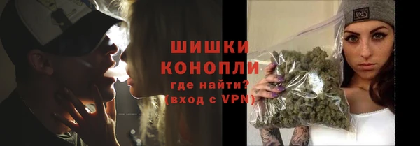 индика Покровск