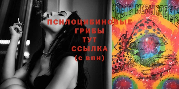 метадон Пестово