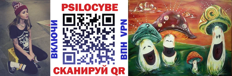 Купить закладки  Жуковский  Псилоцибиновые грибы Magic Shrooms 